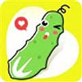 黄瓜视频app下载安装无限看免费丝瓜苏州晶体公司美食
