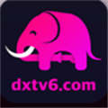 大象dxdy视频回家地址2023